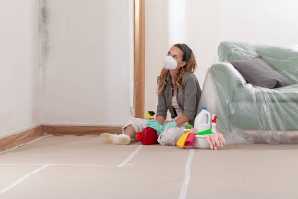 Trusted Mold Inspection service in Harrisburg, IL - WQB Mold Removal